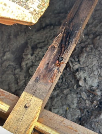 Nos prestations sur le secteur de à Pamiers proche de Foix