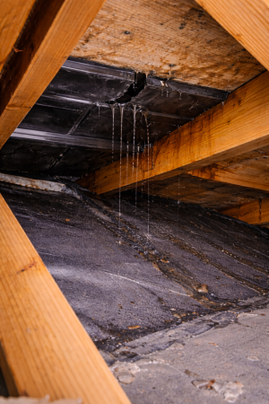 Notre zone d'activité pour ce service Entretien, vérification et nettoyage photovoltaïques au meilleur prix